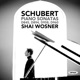 Schubert Piano Sonatas D 845 D 894 D 958 D 960