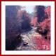 Farewell Single