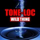 Wild Thing Re Recorded Remastered Versions
