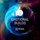2FM065 Emotional Builds