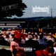 dimwit Single