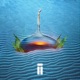 Morning Dew Single