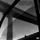 Tinted Windows Single