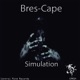 Simulation Single