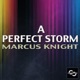 A Perfect Storm Single