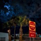 KOLD NiGHTS Single