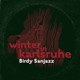 Winter in Karlsruhe Single