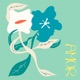 Amor Single