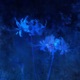 Out of my mind feat EL RUNE Single