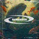 Remember Single