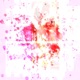 Everyone Bleeds Like Glass Single