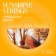 Sunshine Strings