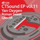 Ctsound Vol 11 Single