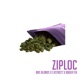 Ziploc feat Bns Blonds Bader in The House Single