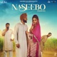 Naseebo Yaara Ve Original Motion Picture Sountrack Single