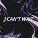 I Can t Wait Single