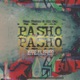 Pasho Pasho feat Reza Pishro Single