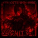 Ignite Single