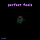 Perfect Fools feat lanie Single