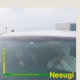 Nesugi Single