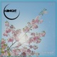 Similar Single