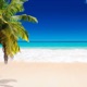 Koopa Beach feat Grant Single