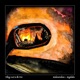 THINGS LOST IN THE FIRE FULLY PRODUCED BY MEGALADON