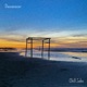 Desvanecer Single