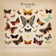 Farfalle Single