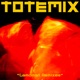 Secret Garden Chambord Remix feat Fatoumata Diawara Single