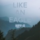 Like an Eagle Single