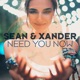 Need You Now Single