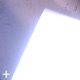 Flam Single