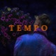Tempo Single