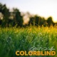 Colorblind Single