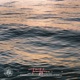 Flow Single