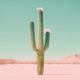 Desert Romance Single