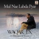Mul Nae Labda Pyar feat Bilal Saeed Shortie Single