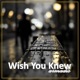 Wish You Knew Single
