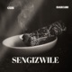 Sengizwile Single