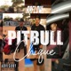 Pitbull Chique Single