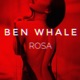 Rosa Single