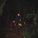JUNGLE Single