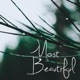 Most Beautiful
