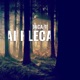 Daca tu ai pleca feat Doddy Ela Rose Single