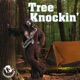 Tree Knockin Single