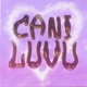 Can I Love You Single