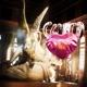 Cupid s Kiss feat naphat Single