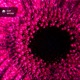 Beyond EP