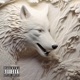 Alpha Wolf